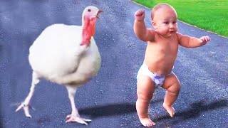 🔴[LIVE] A MUST - 30 minutes Funniest Babies Meeting Animals For The First Time 🐥 🐥🐥II Cool Peachy