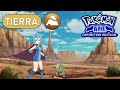 POKEMON AÑIL DEFINITIVE EDITION CON MONOTYPE TIERRA ¿PODRE PASARMELO? #1