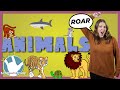 ASL Animal Signs Quiz