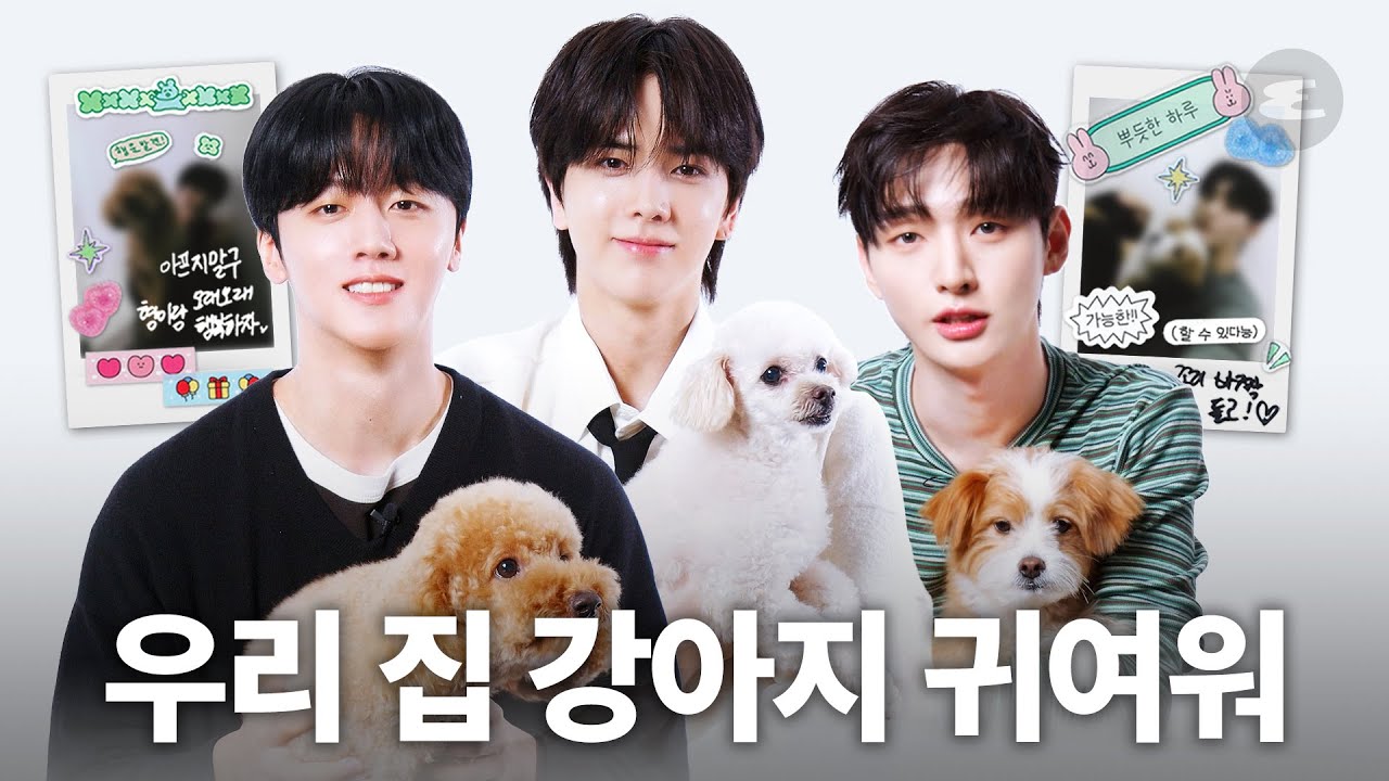우리 집 강아지를 소개합니다🐾 | 더보이즈, 영훈, 윤지성, SF9, 영빈