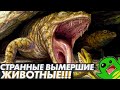 СТРАННЫЕ ВЫМЕРШИЕ ЖИВОТНЫЕ: змея с четырьмя ногами, лягушка-крокодил и новая попытка сухопутности