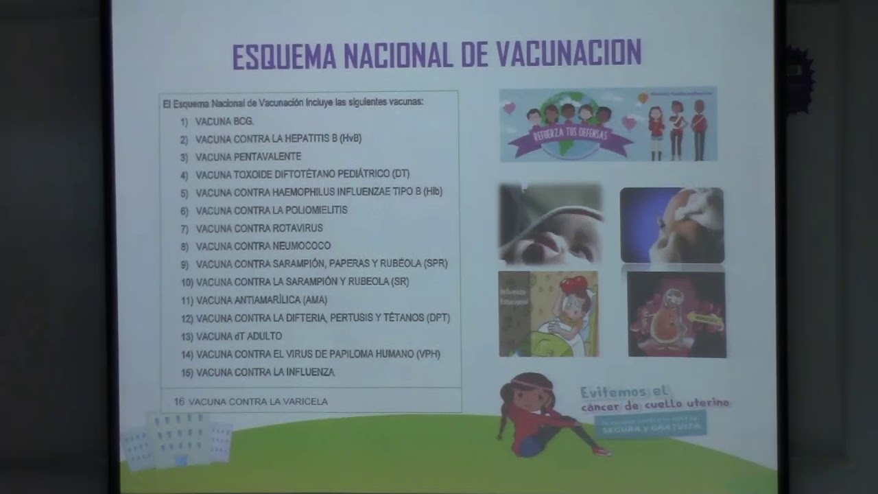 Esquema de inmunizaciones por grupos etarios. saludos amigos dvd