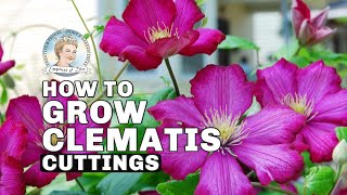 Grow Clematis from Cuttings by Melissa - Empress of Dirt 21,922 views 6 years ago 39 seconds