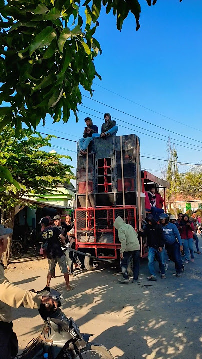 Bunga Nada Lanang kobra burok bunga nada #prapag #telek