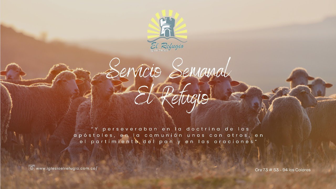 Servicio Semanal 11/06/2026