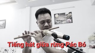 Tiếng hát giữa rừng Pác Bó - ST Nguyễn Tài Tuệ || Sáo trúc