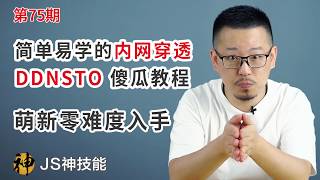 一学就会的DDNSTO内网穿透/傻瓜教程简单易学/萌新零难度入手
