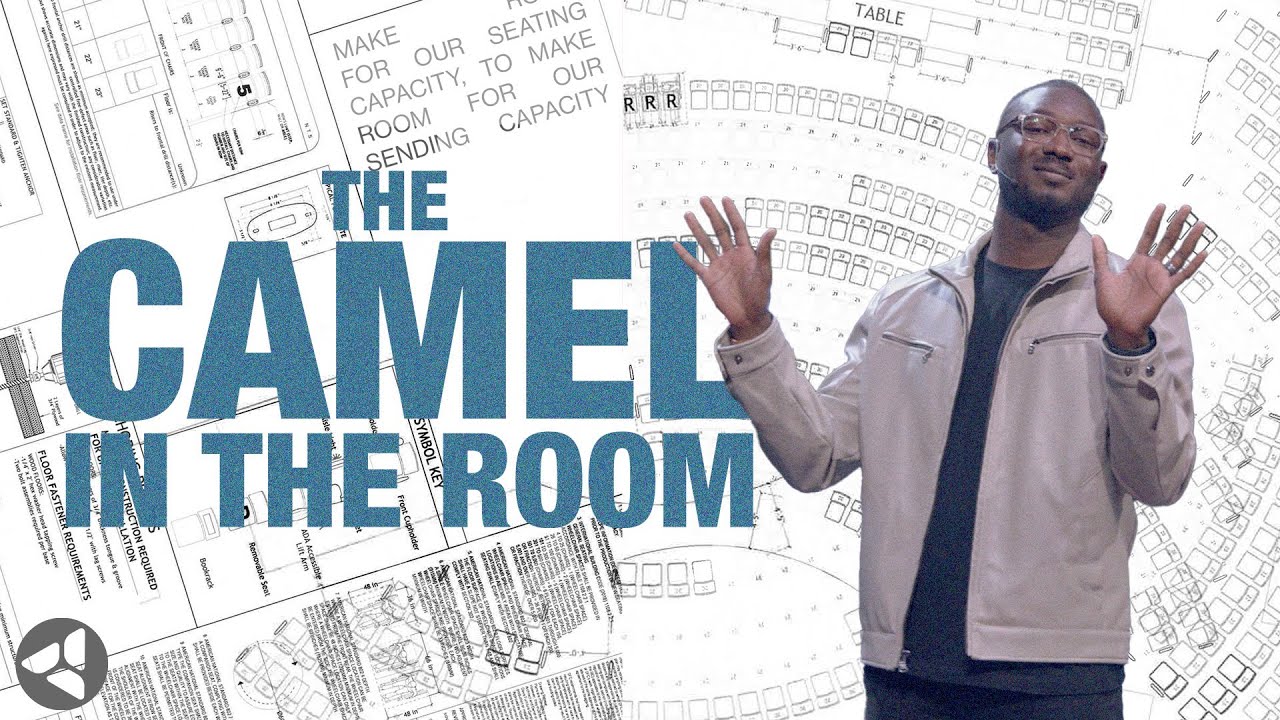 Make Room: The Camel In The Room
