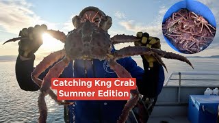 First time Catching King Crab in Summer.