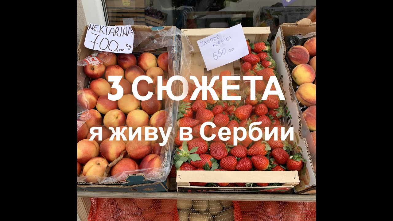 Моя жизнь в Сербии. 3 сюжета
