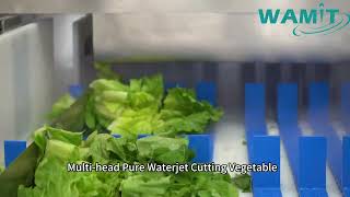WAMIT Multi head Pure Waterjet Cutting Vegetable