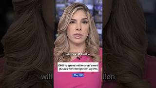 Department of Homeland Security to use 'smart glasses' to identify illegal immigrants