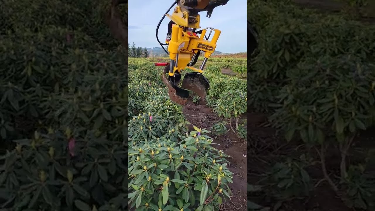 Sany SY35 with Damcon Tree Spade