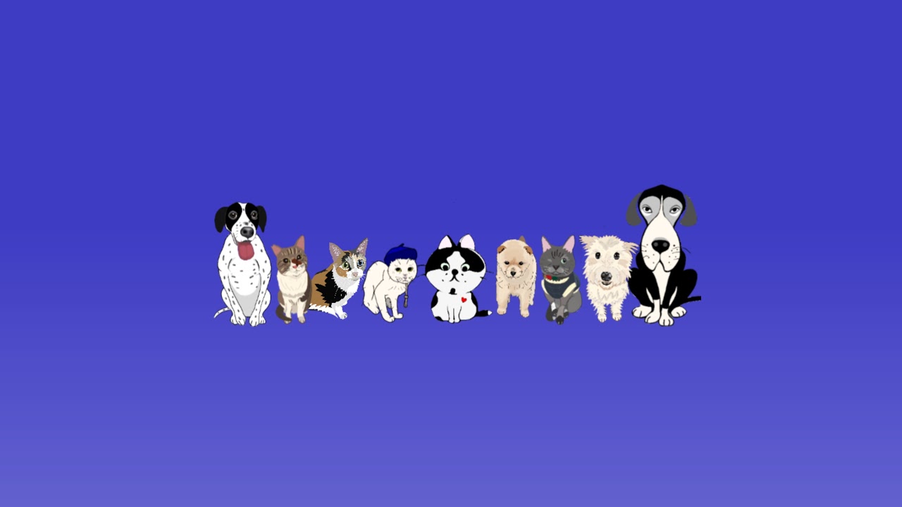 HGA48 犬猫ニュースチャンネル のライブ配信