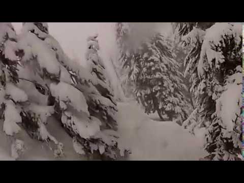 Wie man überlebt Skifahren in einen Baum Well