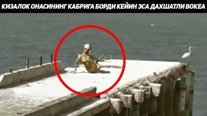 Qizning hojatxonasida parda pornosini onlayn tomosha qiling