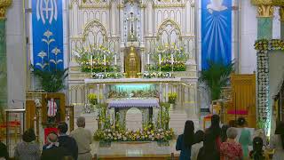 7-12-2026 -15th Sunday in Ordinary Time - 3PM Mass in Vietnamese