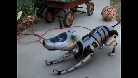 #ticnologie #robot #dog