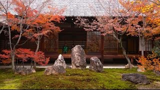 建仁寺　京都の紅葉庭園　The Garden of Kyoto Kennin-ji Temple. Full HD Movie