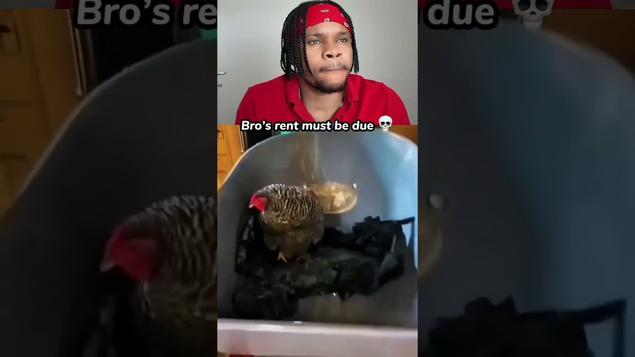 Bros rent Must Be Due