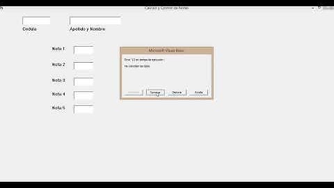 Módulos en Visual Basic