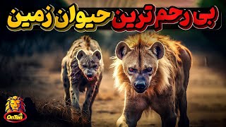 ببینید، 20 حیوان بی نظیر و تماشایی درباغ وحش آنتن  در سال 2023