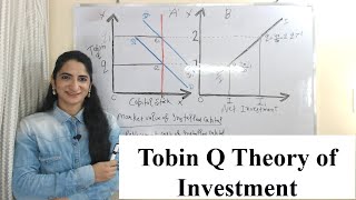 Tobin Q Theory of Investment