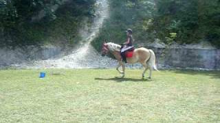 DSCF9195.AVI