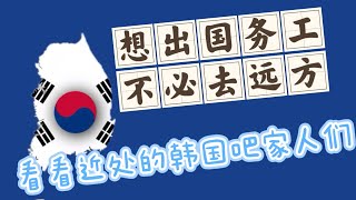 想去韩国工作生活？看这一篇就够