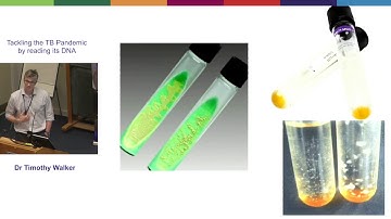 Dr Tim Walker - Tackling the TB pandemic by reading its DNA