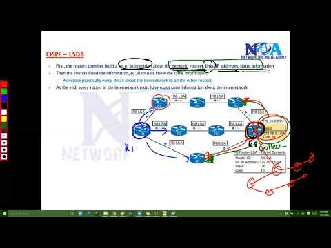 006 OSPF   LSDB  Database