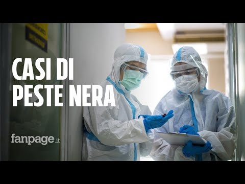 Video: In Mongolia, La Quarantena Si Sta Espandendo A Causa Della Peste Bubbonica Che è Comparsa Lì - Visualizzazione Alternativa