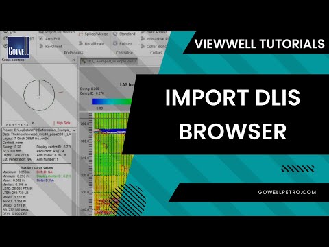 How to use Import DLIS Browser