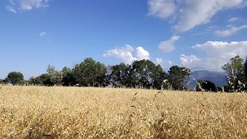ZHIYUN SMOOTH Q TIMELAPSE