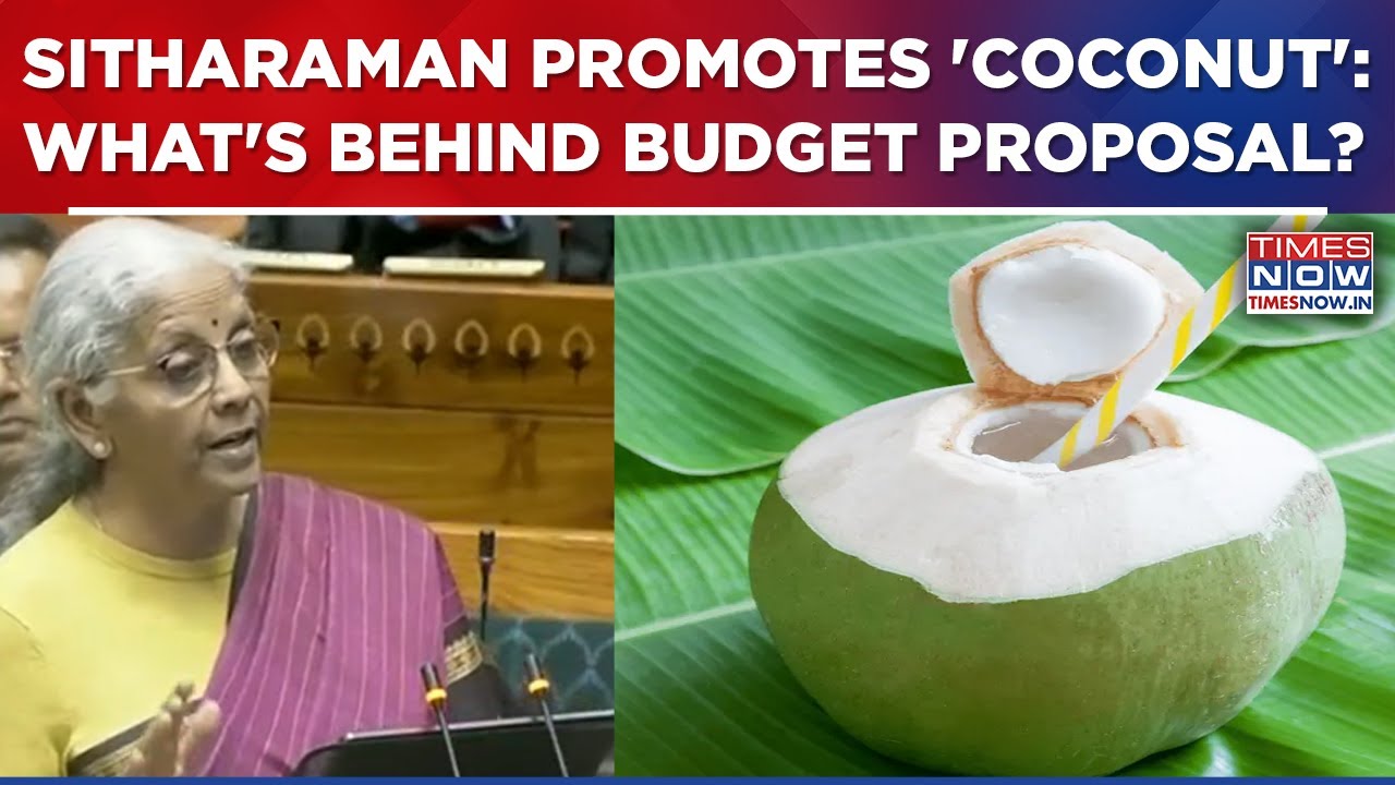 Budget 2026: Sitharaman's Big 'Coconut' Proposal| Watch What's Behind Indian FM's New Pitch