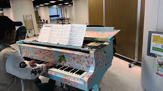 My Heart Will Go On Resimi