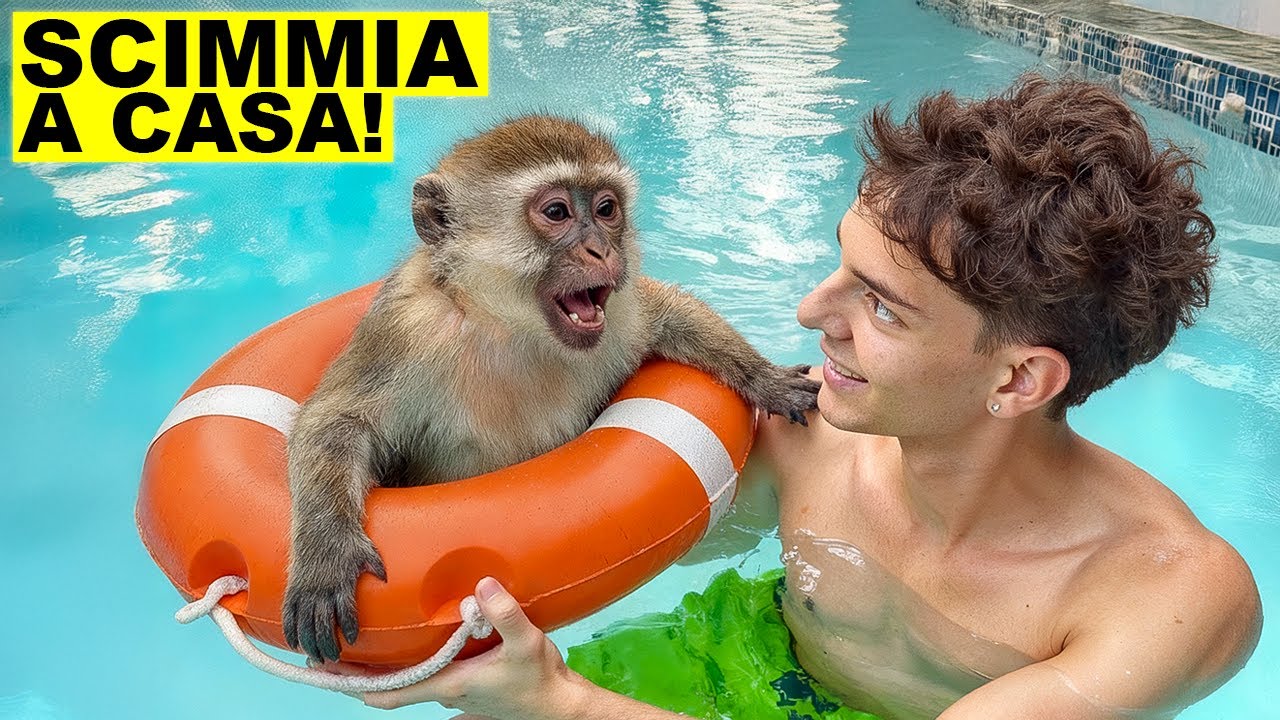 Ti presento Pisellino, la mia scimmia..