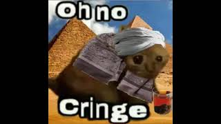 Oh no cringe - اوه نو كرينج قطة صعيدي