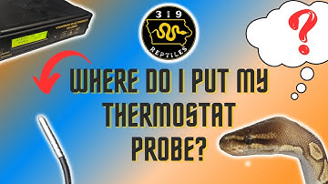 Ball Python Thermostat Setup #reptiles