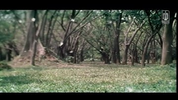 peterpan mungkin nanti official musik video klip