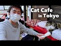 Rescue Cat Cafe in Tokyo (feat. @OnTheWorldStage) // Japan Travel Guide