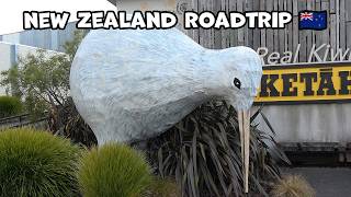 Mini Vlog from our New Zealand Roadtrip!