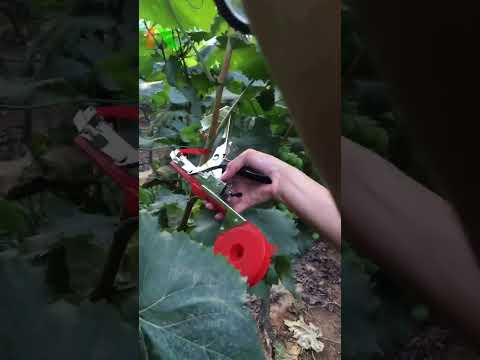 Video Máy buộc dây đa năng SUCA, Hàng chính hãng độ bền 3... - youtube