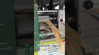 #나트랑 #나트랑여행 #나트랑맛집 #담시장 #사탕수수 #500원 #nhatrangtravel