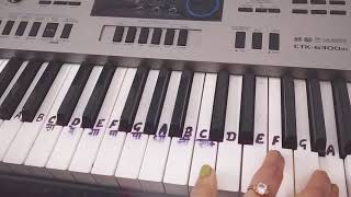Video thumbnail of "Zindagi Ban gaye ho tum|Piano cover|Instrumental|Keyboard|Harmonium|Kasoor"