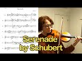 Serenade by Schubert- Violin solo
