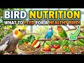 Bird Nutrition 🍎🦜