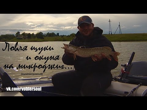 Ловля щуки и окуня на микроджиг. Супер рыбалка на пруду. Видео отчет от 23 июня 2017 г.