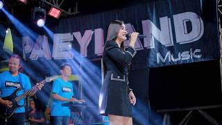 Download lagu PAELAND MUSIC - JANGAN DENDAM - NILA NADA - WEDDING ADELA & HERY - KEBEN SOCO