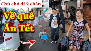 CHÚ CHÓ ĐI HAI CHÂN SU XÍ XỌN VỀ QUÊ ĂN TẾT 2022 - REVIEW NGÔI NHÀ CỔ CỦA ÔNG BÀ NỘI